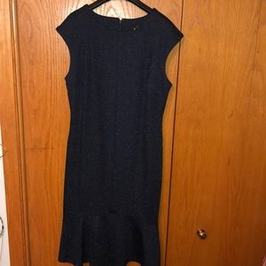 Ann Taylor Navy Speckled Dress with Ruffle Bottom